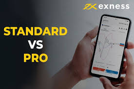 Ultimate Guide to Forex Trading With Exness