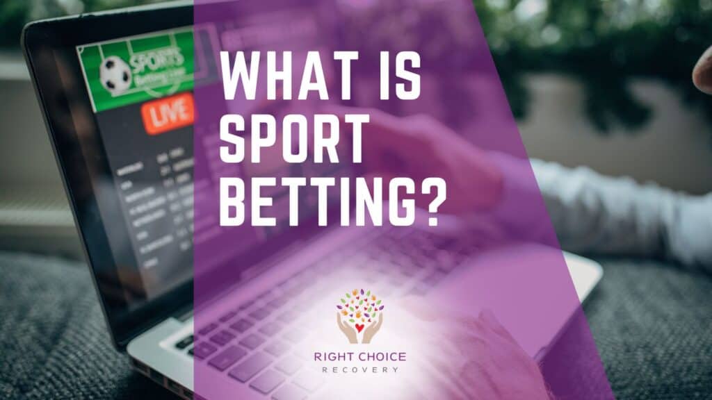 Live Streams for Sports Bets 7