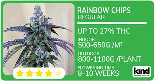 Your Ultimate Guide to Marijuana Seeds Arkansas Your Ultimate Guide to Marijuana Seeds Arkansas